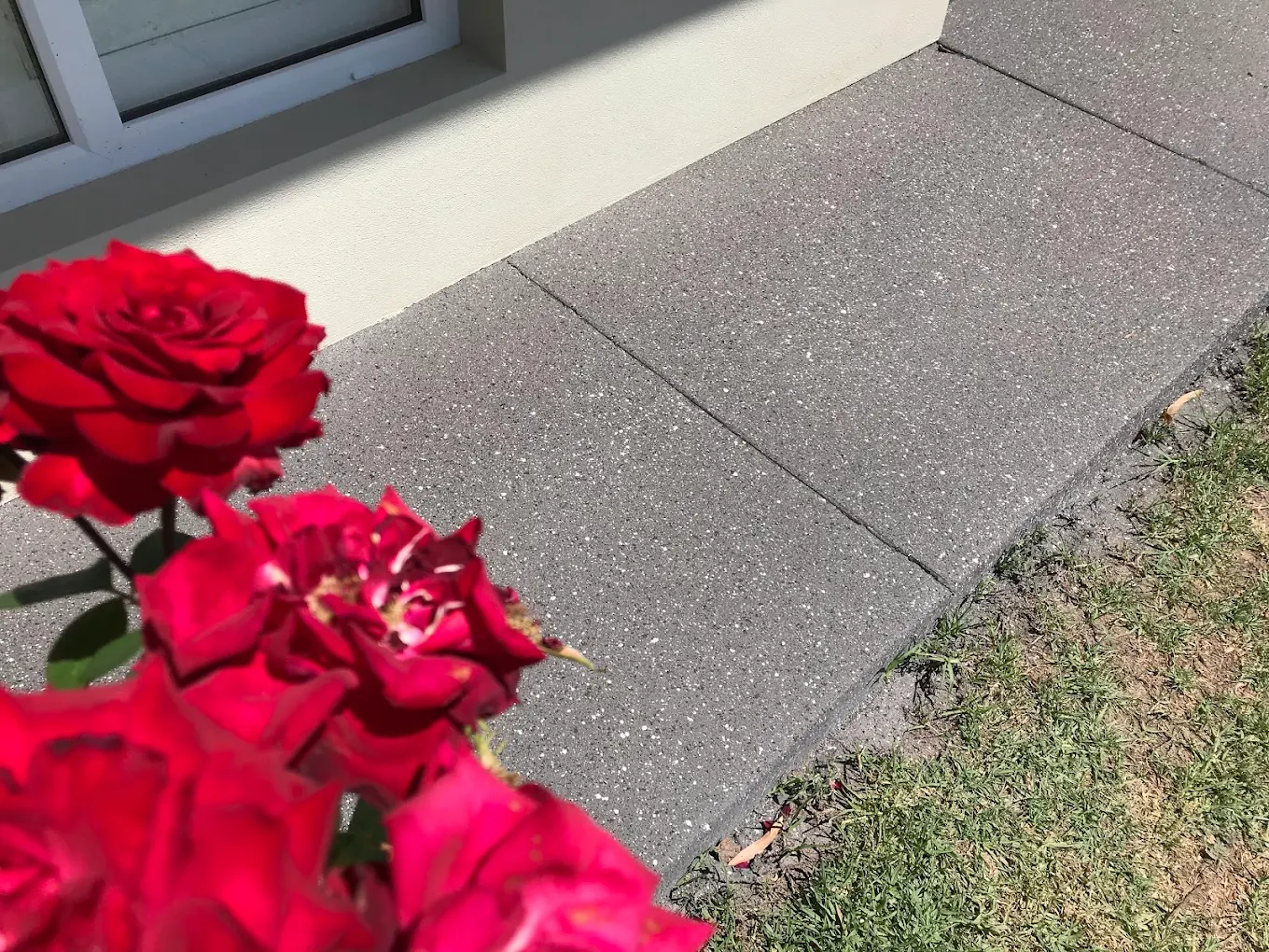 Grey speckled exposed aggregate style path running along the side of a rendered home